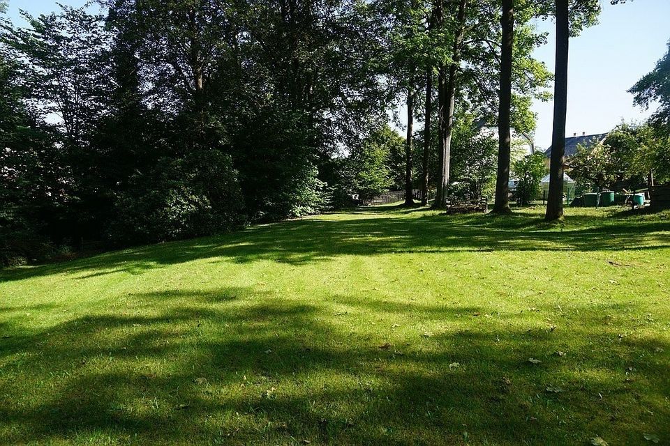 Großes und traumhaftes Grundstück mit Teich! in Bad Brambach