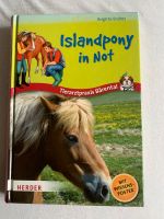 Islandpony in Not Niedersachsen - Lähden Vorschau