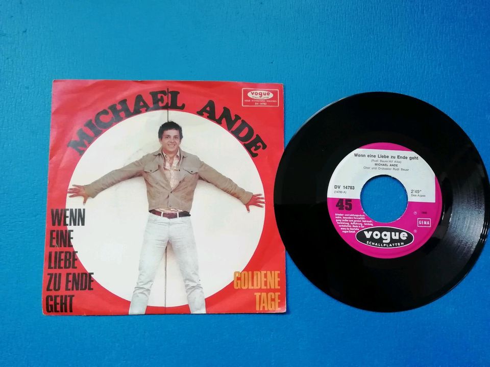 Michael Ande Pop Schlager Single Vinyl Schallplatte LP in Warthausen