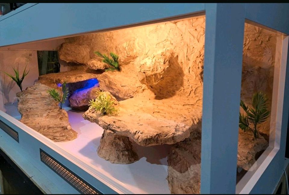 Terrarium Reptilien 180x70x70 in Frankfurt am Main