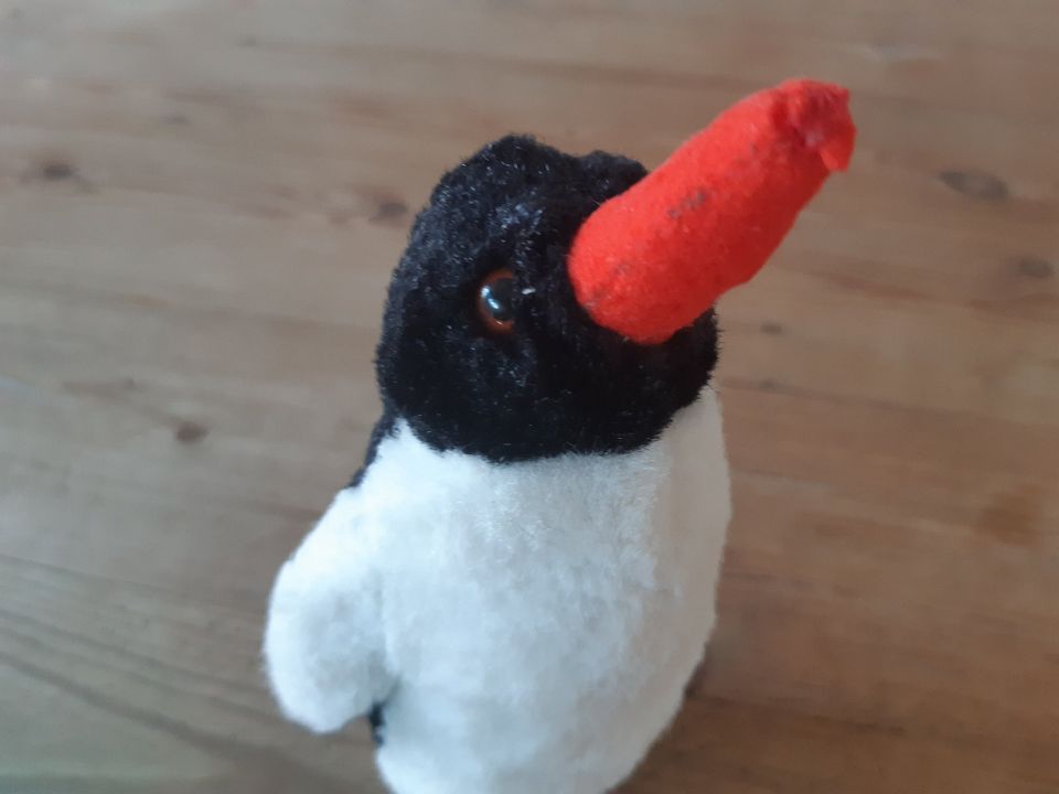 Steiff, Pinguin, Knopf und Fahne vorhanden in Löffingen