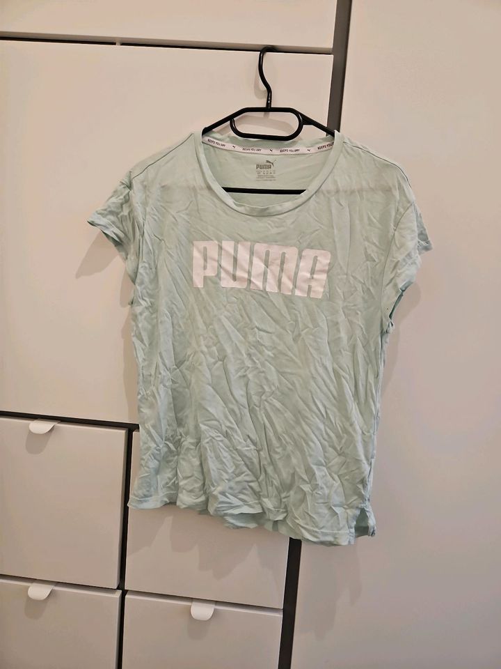 Puma T- Shirt gr 36 gebraucht in Flensburg