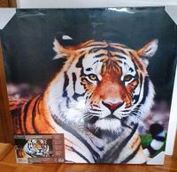 Tiger Bild NEU OVP Leinwand 90x90 Fotodruck stabiler Holz Rahmen Bayern - Beilngries Vorschau