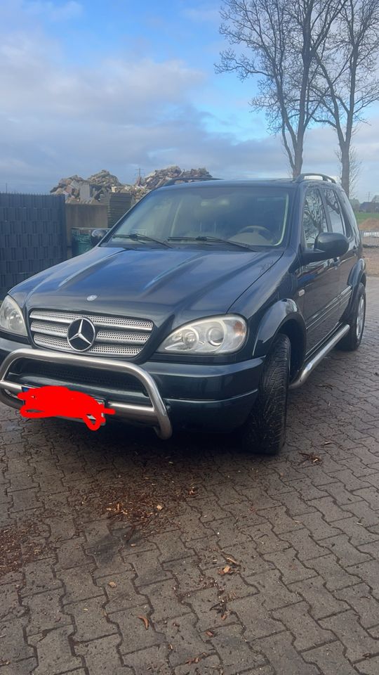 Mercedes Benz Ml 430 in Neuenbrook