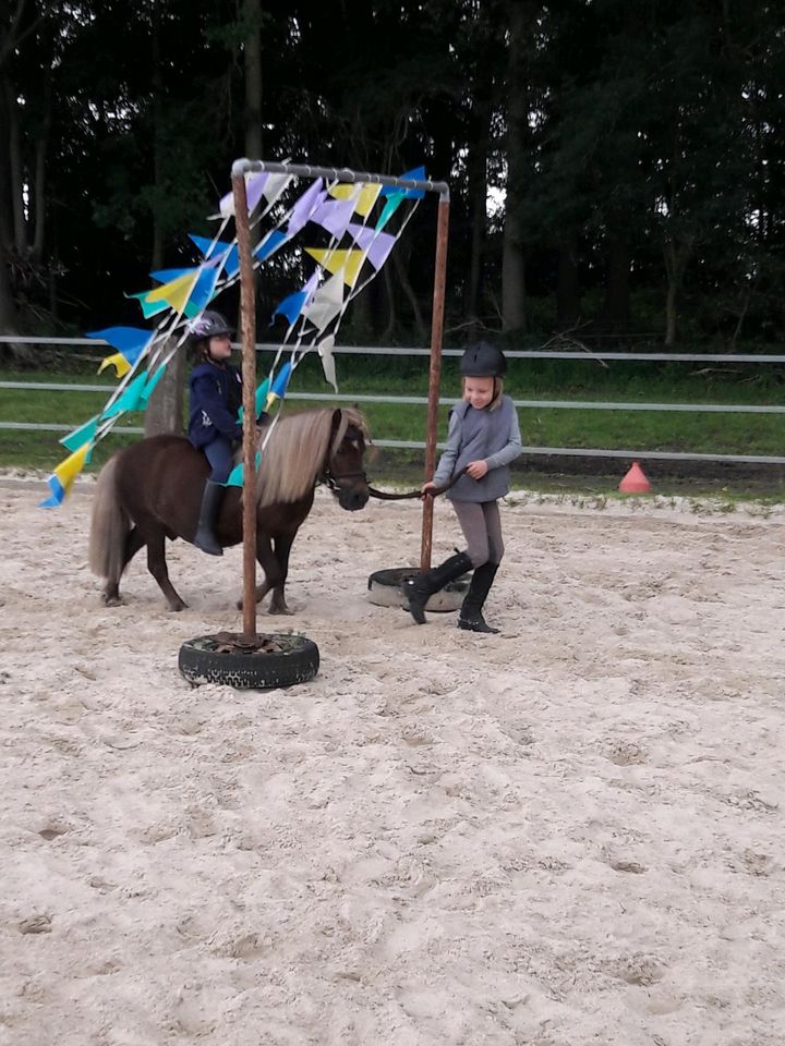 Ponyzeit/ Reitunterricht....Weihnachtsgutschein in Georgsdorf