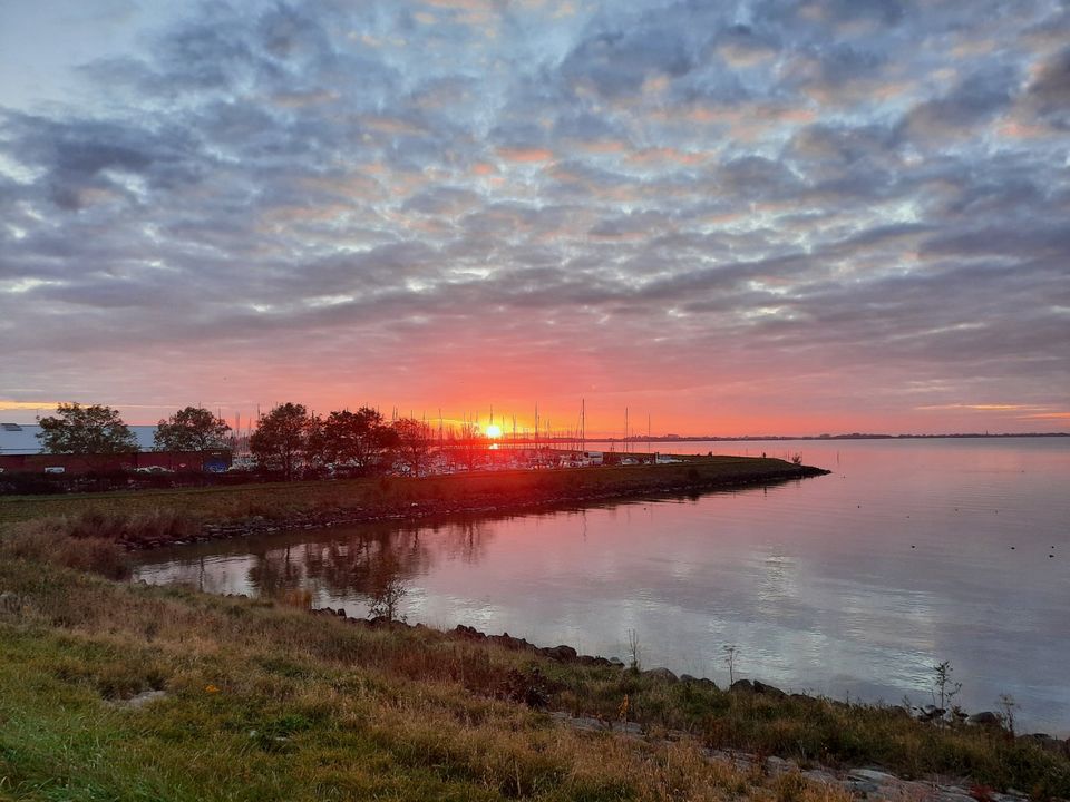 Ferienhaus Ijsselmeer/ Nord-Holland, bis zu 5 Personen mit Hund in Köln Vogelsang