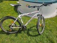 Fahrrad /Mountainbike Speciliced 26 zoll Baden-Württemberg - Tannheim Vorschau