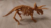 Modell Skelett Dinosaurier Triceratops Saarland - St. Wendel Vorschau