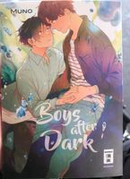 Boyslove Boys after Dark Manga Brandenburg - Neustadt (Dosse) Vorschau