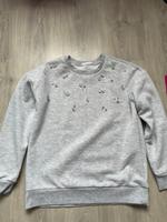 Pulli mit Steinchen Janina Nordrhein-Westfalen - Dormagen Vorschau