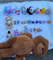 Kuscheltiere ( Riesen Teddybär, kleine Schlüsselanhänger) Bayern - Karlstadt Vorschau