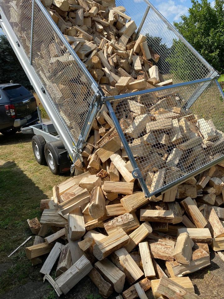 Brennholz&Kaminholz Sachsen 45€/Srm Holz4u - Trocken inkl Lieferung in Löbau