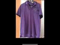 Camp David Poloshirt in GR M/ L Harburg - Hamburg Hausbruch Vorschau