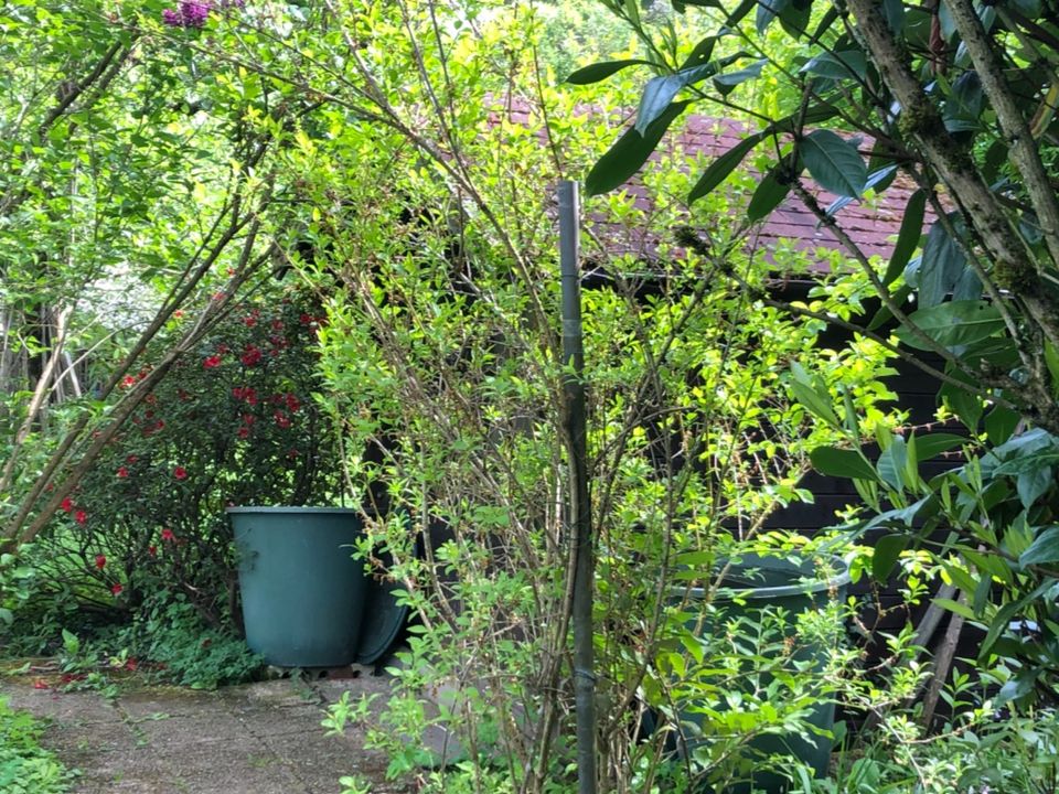 Garten mit Obstbaumbestand in Esslingen Hegensberg in Esslingen