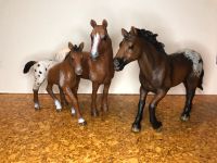 Schleich Appaloosa Familie Bayern - Untermerzbach Vorschau