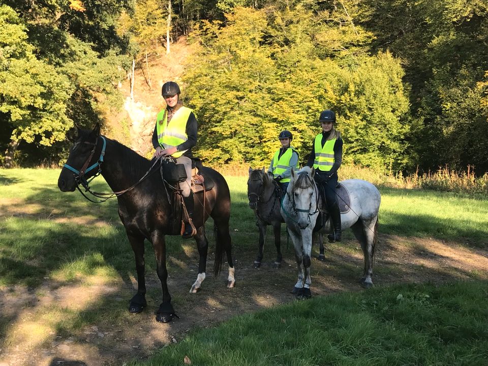 Tagesritt ins Nistertal Sa 18.05., Tagesritt, Reiterlebnis in Altenkirchen