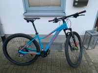 Mountainbike Orbea MX 29 Zoll (Rahmen L) Baden-Württemberg - Weinheim Vorschau