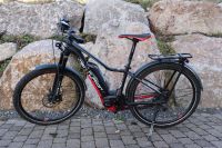 Damen Mountainbike E-Back Fit Baden-Württemberg - Bernau Vorschau