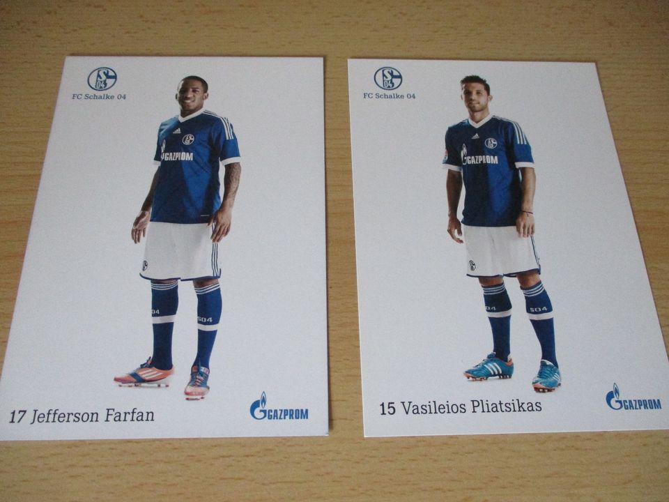 2 Spielerkarten vom FC Schalke 04. (Keine Autogrammkarten) in Wirges  
