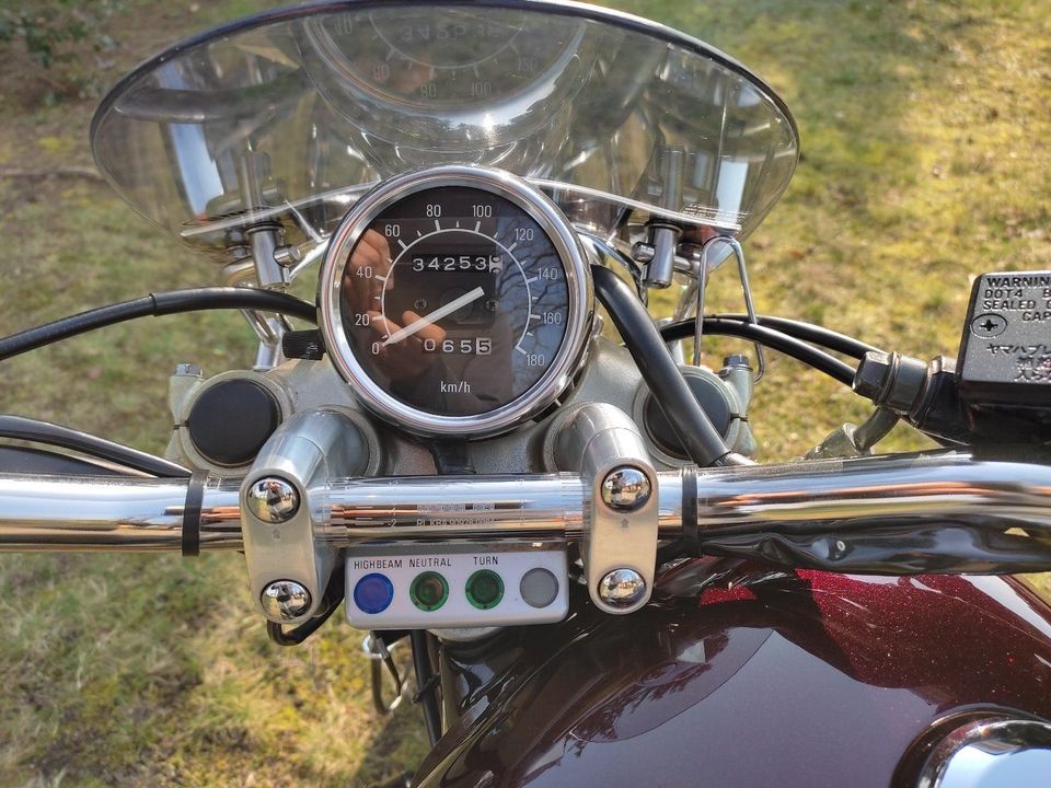 Yamaha XV 535 VIRAGO in Werder (Havel)