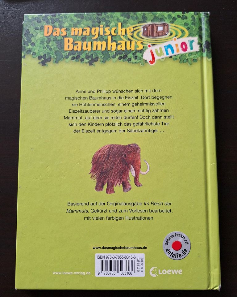 Das magische Baumhaus junior 7 Buch, Gefahr für das Mammut in Rhede