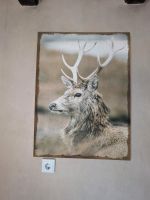 Leinwandbild Hirsch - ca. 78 x 58 cm Bayern - Großostheim Vorschau