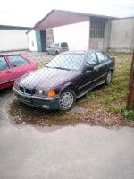 BMW E36 1,8 Sachsen-Anhalt - Klötze Vorschau