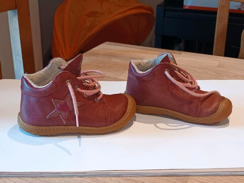 Lauflernschuhe von Pepino by Ricosta, Größe 21, WMS Mittel in Derental