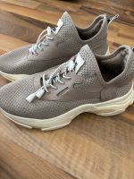 Steve Madden Sneaker Taupe Hamburg - Altona Vorschau