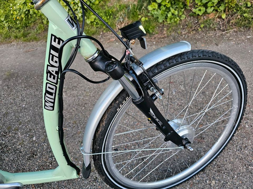 Dreirad für Erwachsene Elektro, Lastenrad Wild Eagle 1400€ in Kiel