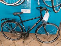 AB395€ Singlespeed Cityrad Crossrad Trekkingrad Urbanbike EIMSBIK Eimsbüttel - Hamburg Eimsbüttel (Stadtteil) Vorschau