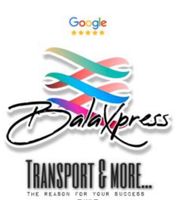 Kurierfahrer (m/w/d) gesucht für BalaXpress UG Bayern - Kitzingen Vorschau