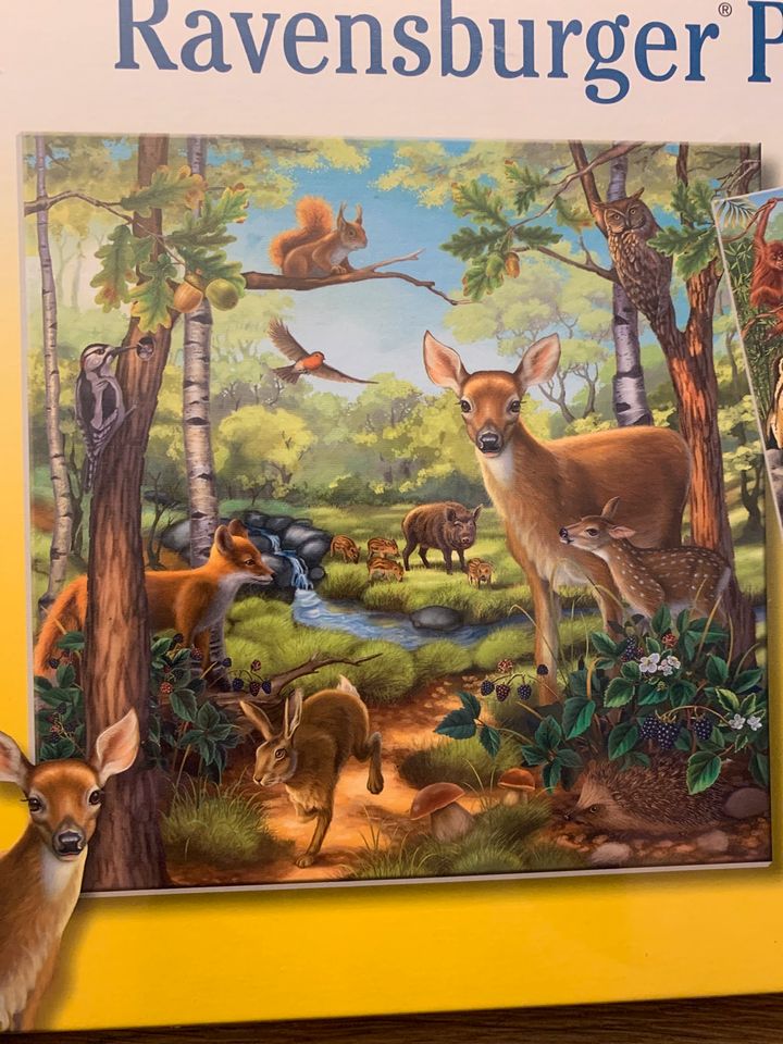 NEU OVP Puzzle Wald/Zoo und Haustiere 3x49 Teile in Sulzbach a. Main