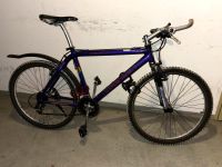 Grisley Orion 20 Vintage Mountainbike Bayern - Asbach-Bäumenheim Vorschau