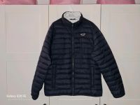 Schöne leichte Herren Steppjacke von Hollister Gr. M Thüringen - Arnstadt Vorschau