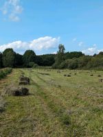 Landwirtschaftliche Flächen zum Kauf /Pacht in Mecklenburg-Vorpommern - Friedrichsruhe Vorschau