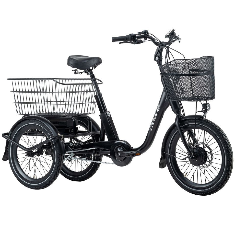 Adore Cargo-Pedelec E-Bike Aluminium "Swing" mit Zubehör in Unkel