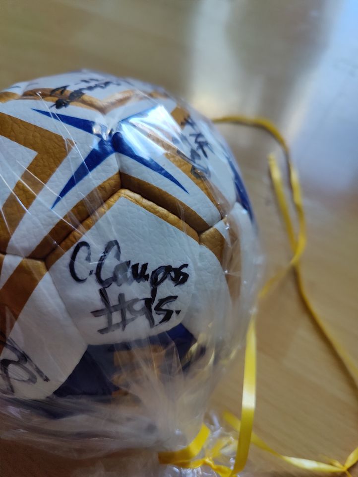 Fan-Sammlerstück signierter Handball BVB Damen Bundesliga in Köln