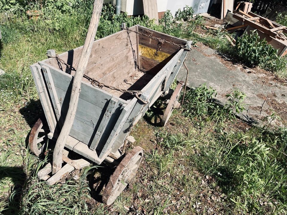 Handwagen Leiterwagen antik in Berlin