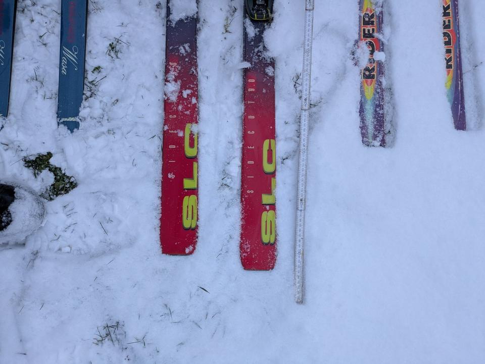 ältere Ski mit Skischuhen und Stöckern in Artern/Unstrut