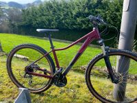 Fahrrad , 29Zoll Räder *wie neu* Rheinland-Pfalz - Lasel Vorschau