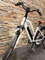 Varaneo Trekkingrad Damen E-Bike Nordrhein-Westfalen - Hamm Vorschau