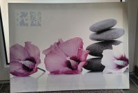 Wandbild Leinwand Bild Hibiskus Blüten Bayern - Straubing Vorschau