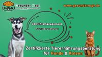 Gewichtsmanagement für Hunde und Katzen | Tierernährungsberatung Dortmund - Kirchlinde Vorschau