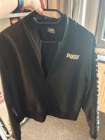 Bomberjacke Puma Dresden - Strehlen Vorschau