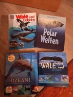 Tierbücher Wale und Delfine, Raubtiere, größten Tiere Wuppertal - Heckinghausen Vorschau