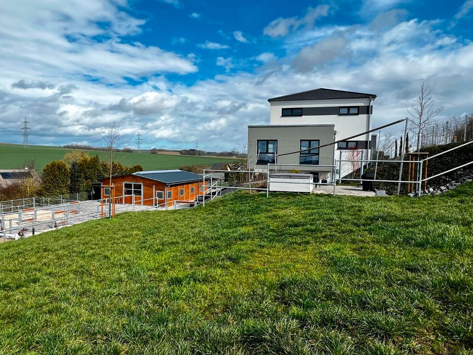 Kleine hochwertige Reitanlage mit exklusiver, energetischer und neuwertiger Luxus-Villa in Lonnig