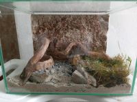 Terrarium klein Bayern - Waldsassen Vorschau