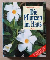 Top PFLANZEN IM HAUS Standardwerk Zimmerpflanzen Buch Rücker Nordrhein-Westfalen - Krefeld Vorschau