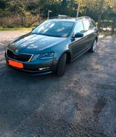 Skoda Octavia Niedersachsen - Bad Bentheim Vorschau